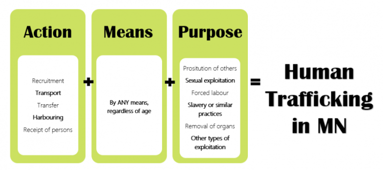 different types of human trafficking essay